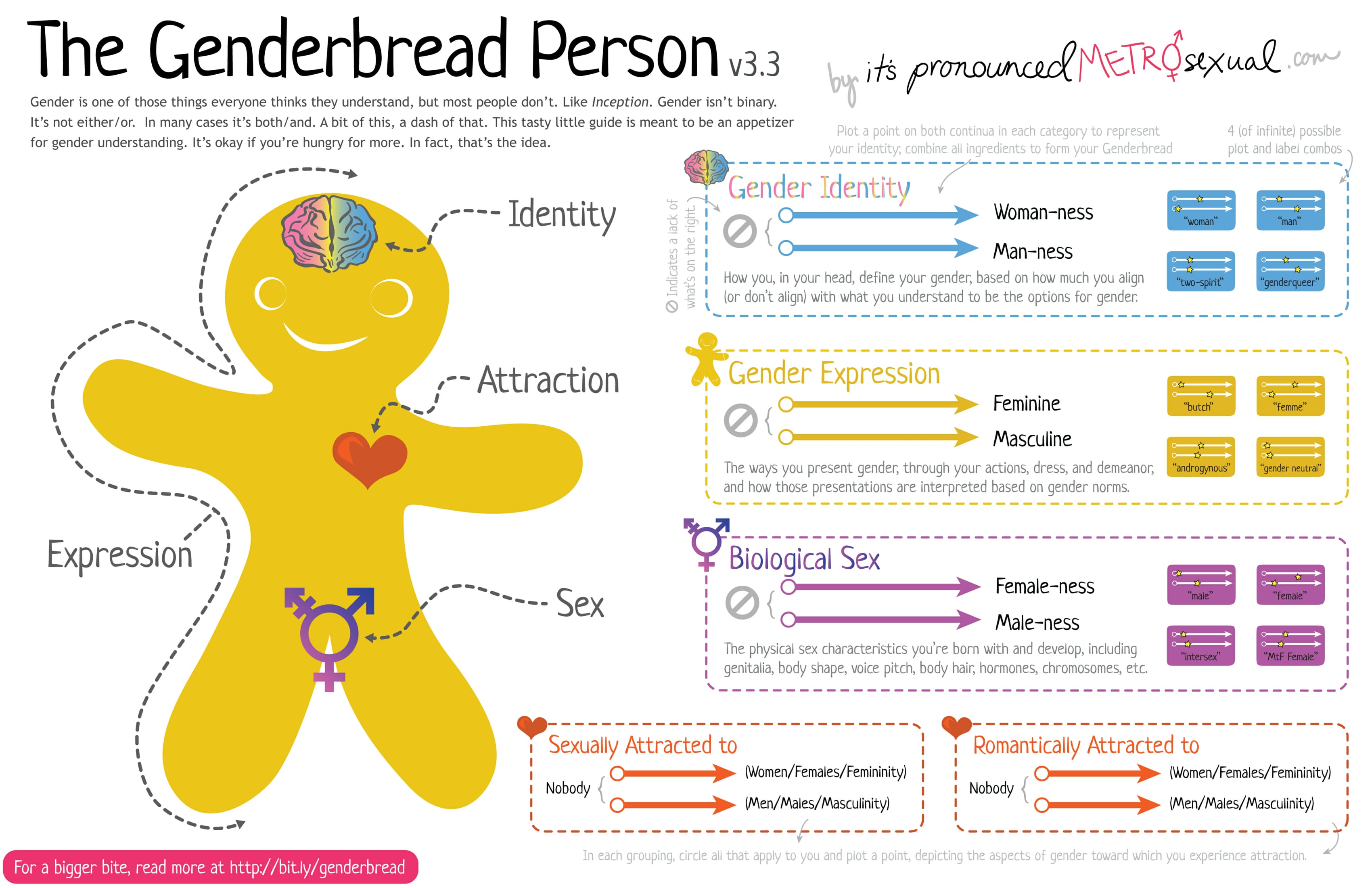 Terminology Transgender Care Moncton